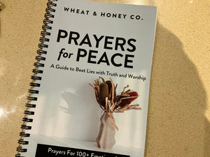 Prayers for Peace ( a guide to beat lies with truth and worship)