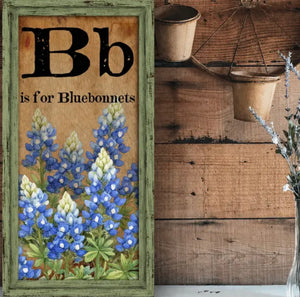B is For Bluebonnets