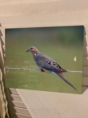 Photographs on metal