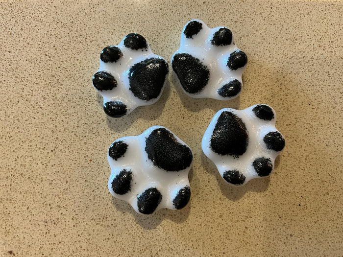 Set of four glass paw magnets