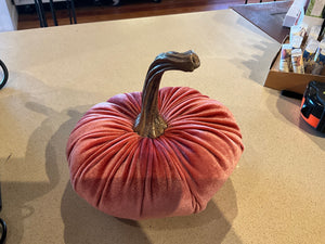 Velvet Pumpkins