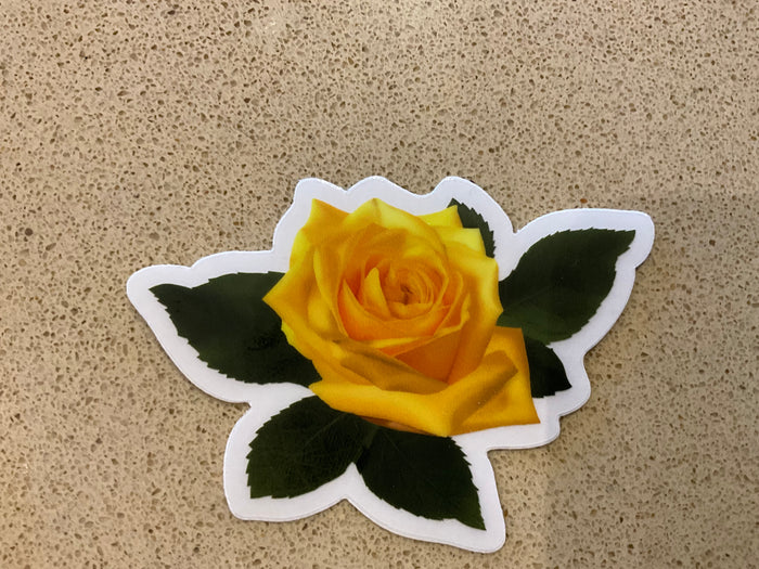 Yellow rose sticker