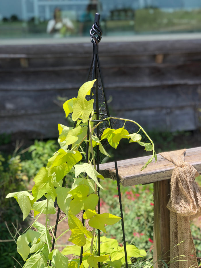 Hand forged trellises