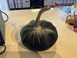 Velvet Pumpkins