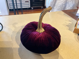 Velvet Pumpkins