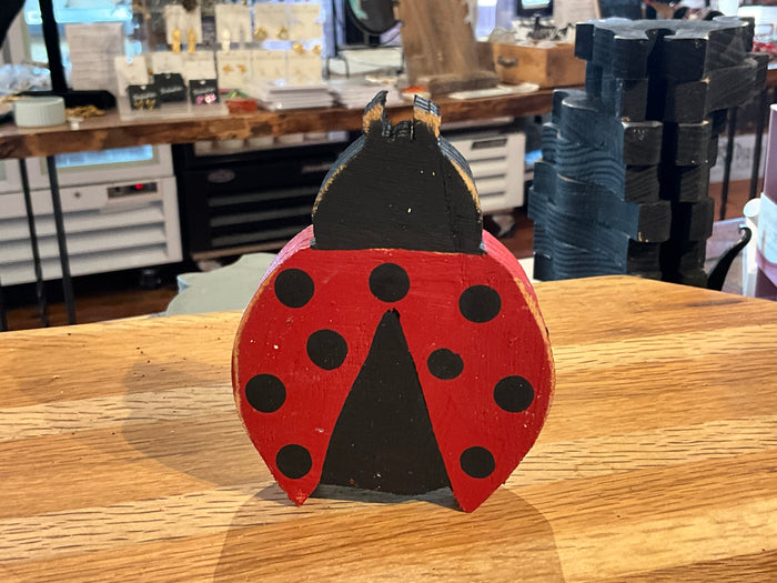 Wood ladybug