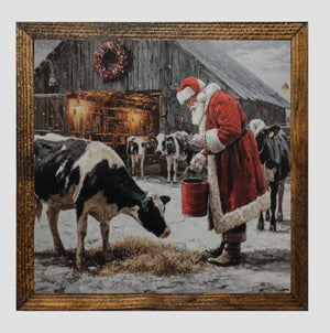 Santa Feeding cows Framed Print