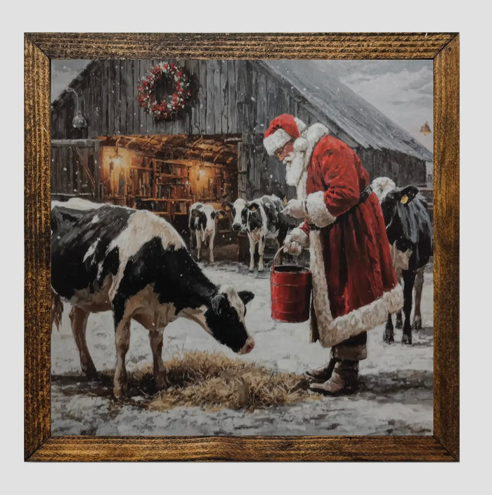 Santa Feeding cows Framed Print