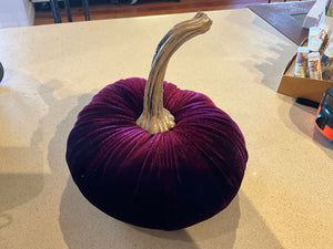 Velvet Pumpkins