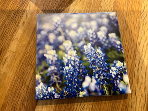 Bluebonnet coaster