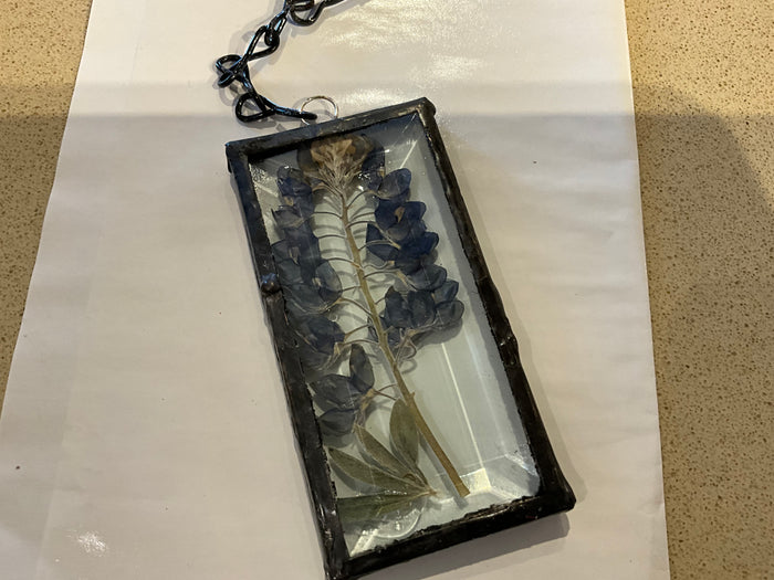 Bluebonnet Sun Catcher