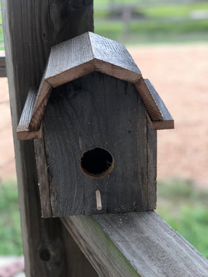 Cedar Bird Houses