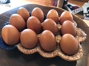 Pottery Egg plates
